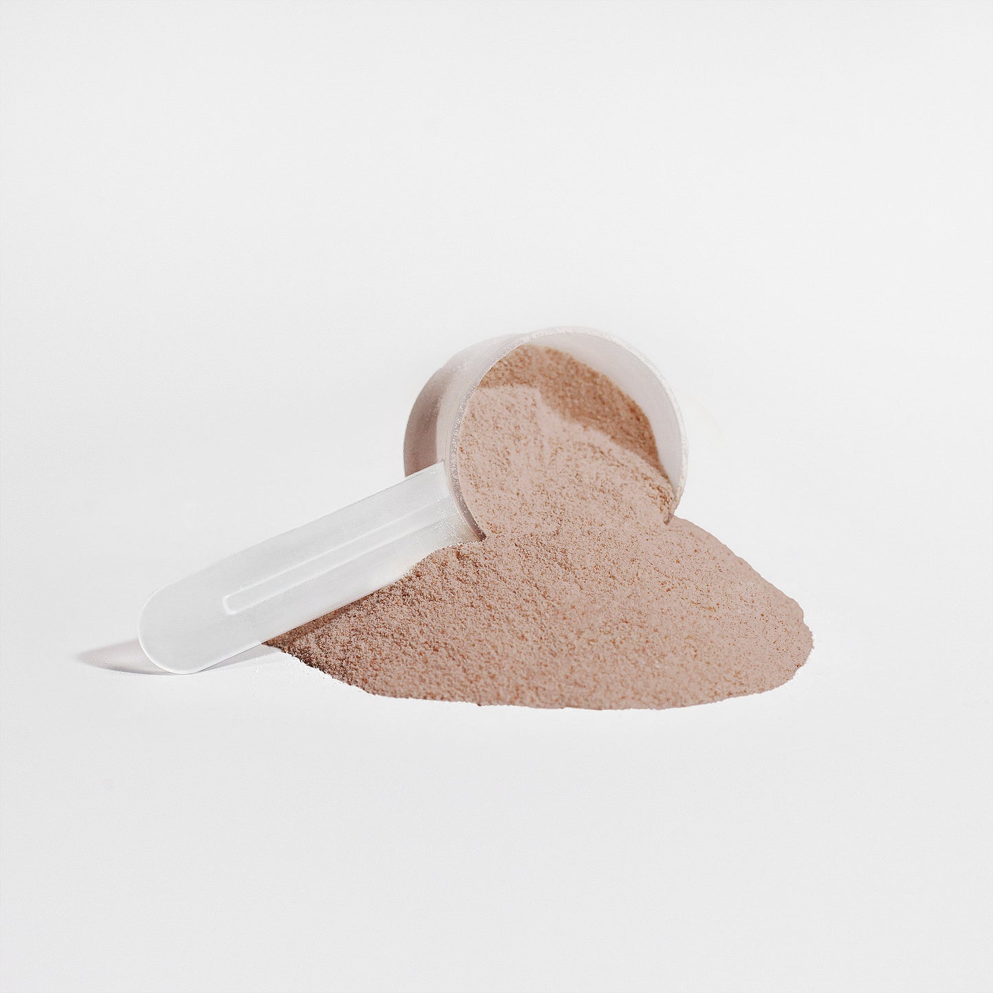 Plant Protein - Fava Bean (Chocolate)