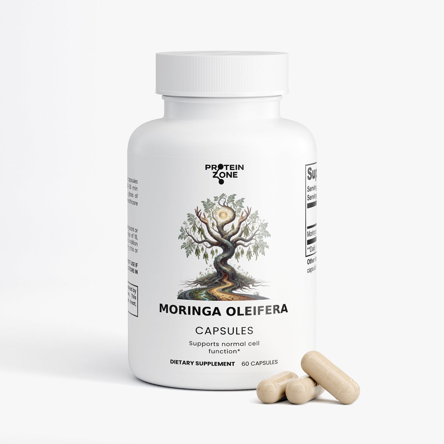 Moringa Oleifera