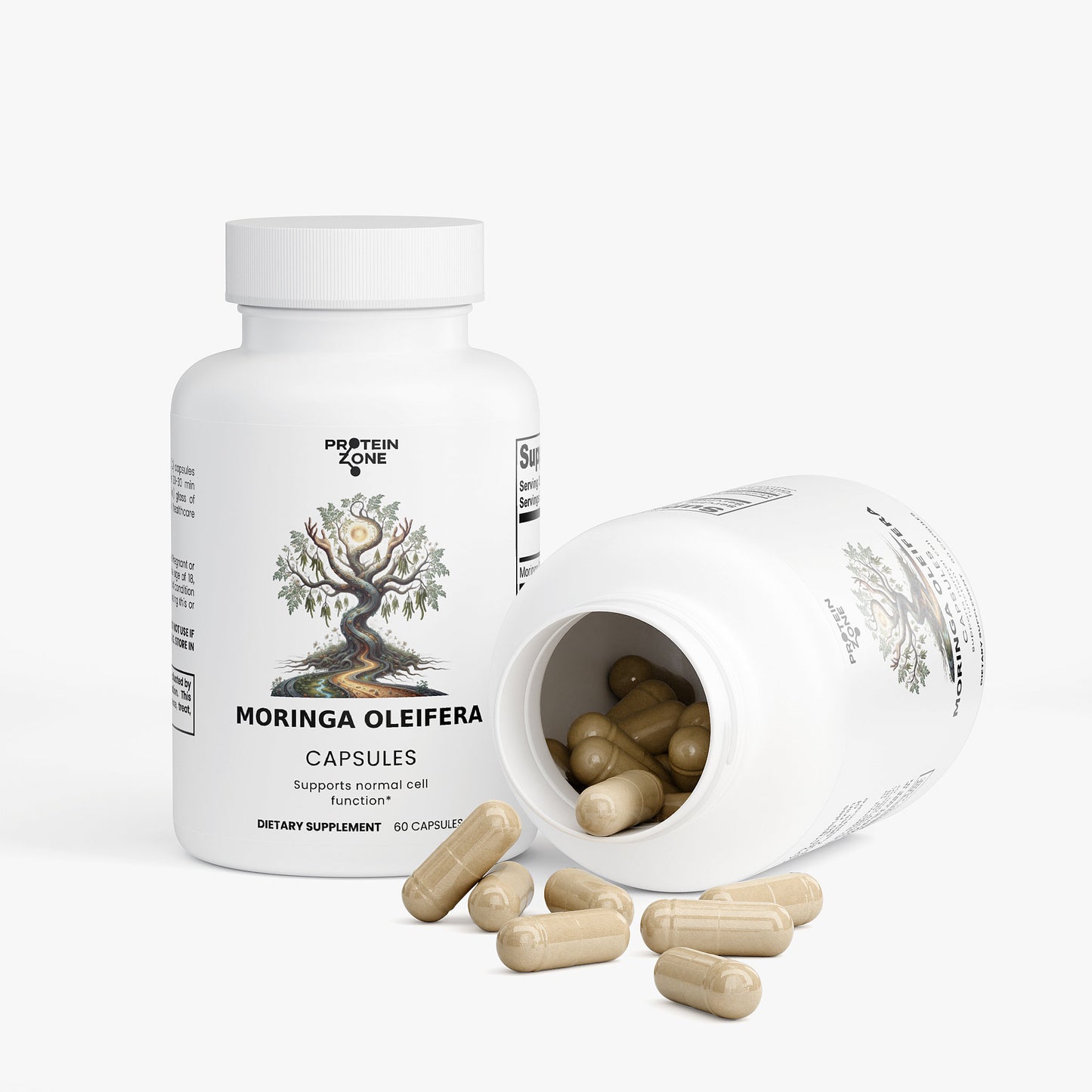 Moringa Oleifera