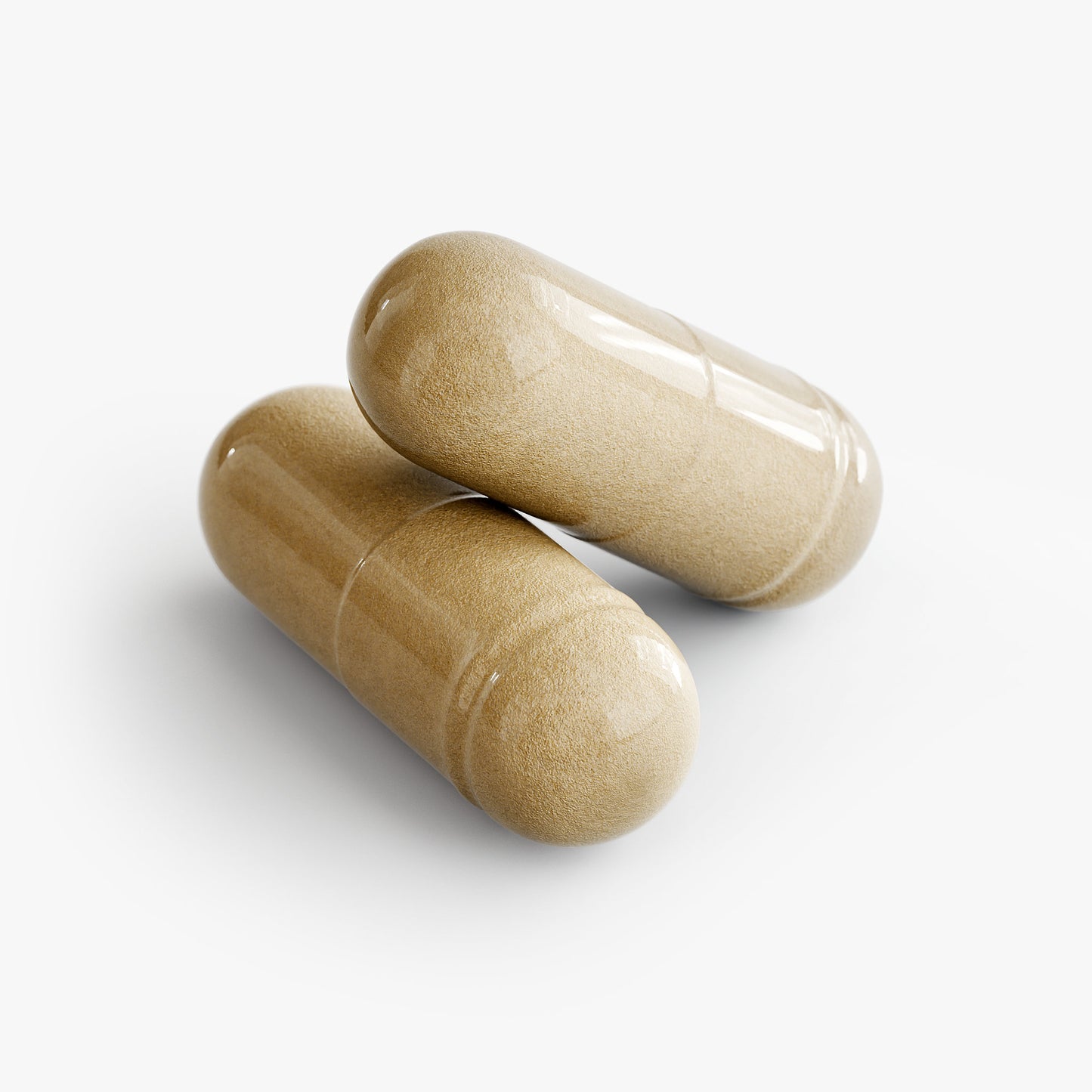 Moringa Oleifera